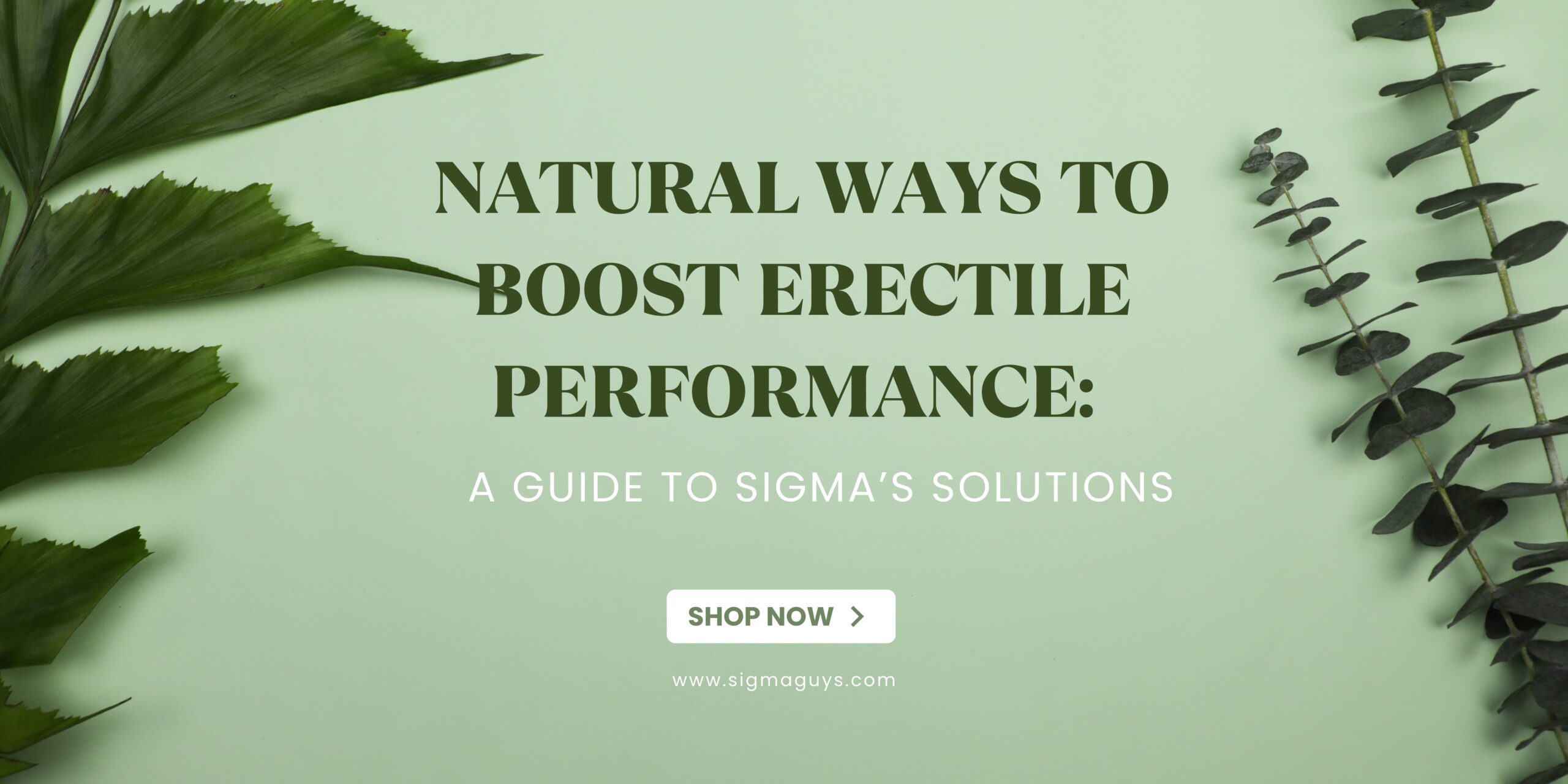 Natural Ways to Boost Erectile Performance: A Guide to SIGMA’s Solutions